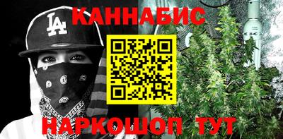 Альфа ПВП Кимры
