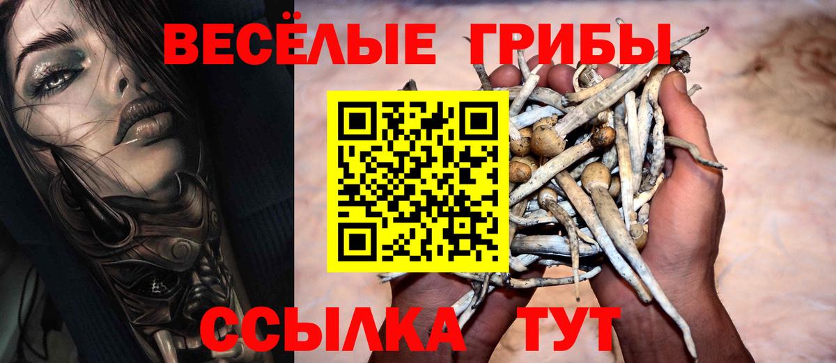 Конаково  Псилоцибиновые грибы Psilocybe  Вход с VPN 